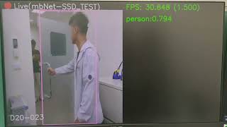 HDLA test chip running MobileNet-v2 SSD@50MHz