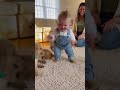 【悶絶注意】子犬集団 vs 赤ちゃん！このかわいすぎる攻防戦にあなたは耐えられるか？🥺❤️ #shorts #赤ちゃん #犬 #baby #dog