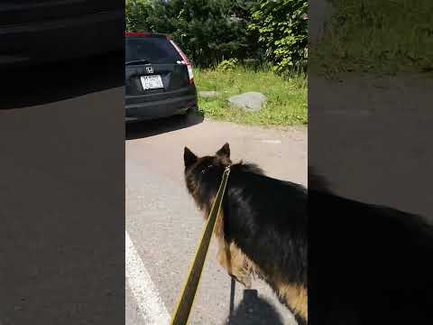 У нас аншлаг.