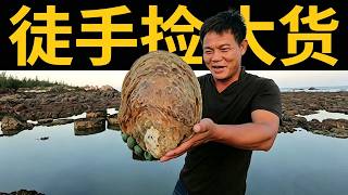 老四赶海摸到螺窝，还意外捡到巨型扇贝，回家给孩子们做海鲜大餐