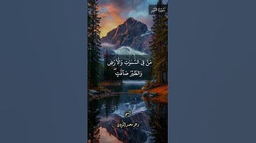 تلاوة جمیلۃ من سورة النور الآية ٤١ بصوت رعد محمد الكردي | Surah An-Nur – Ra’ad Muhammad Al Kurdi