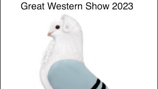 Great Western pigeon show 2023 Old German Owl pigeon show final results