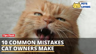 10 Common Mistakes Cat Owners Make