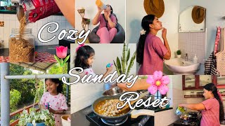 Sunday Routine In India 🇮🇳✨peaceful Morning 🌸#dailyvlog #dayinmylife #malayalam
