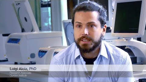 Organoid Research using the EVOS Imaging Systems