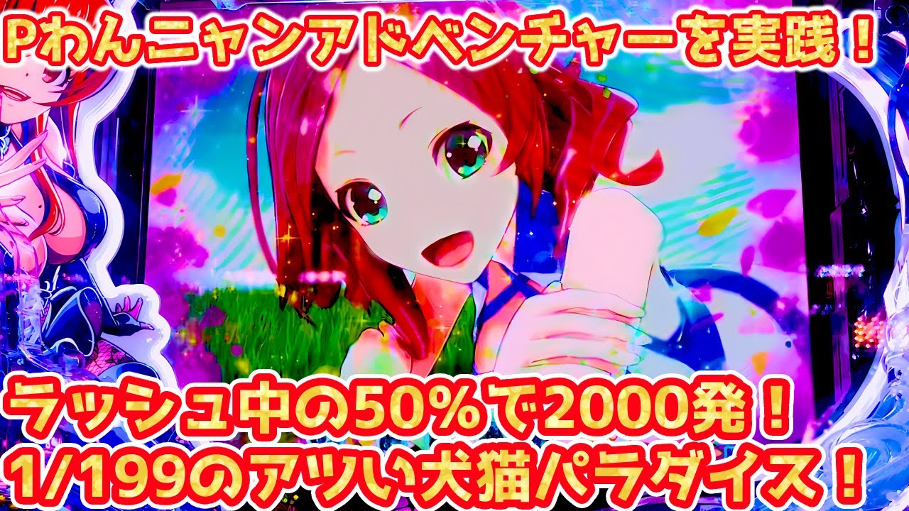Pわんニャンアドベンチャー パチンコ実践 ラッシュ中の50％で2000発獲得可能！！ライトミドルでも出玉がアツいわんわん&にゃんにゃんパラダイス！【パチイレ】