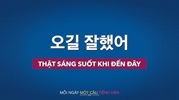 Học tiếng Hàn 2021 | MỖI NGÀY MỘT CÂU TIẾNG HÀN [오길 잘했어]