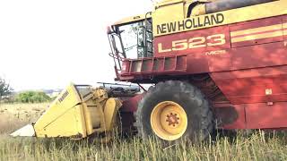 Trebbiatura girasoli con New Holland L523