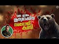 ജപ്പാനിലെ ഒരു ഗ്രാമം വിജനമാക്കിയ|നരഭോജിക്കരടി|sankebetsu brown bear incident|#hunting story|#real|