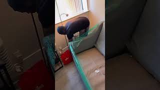 This Is The Best Way To Wrap A Couch 🛋 For Moving Job ! #clickhere