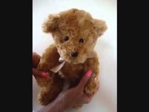 recordable plush toys