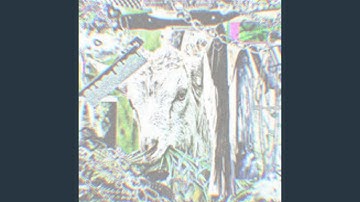 M1R1sH3SH n4 K0Z4!!1! ꉂ(˵˃ ᗜ ˂˵)