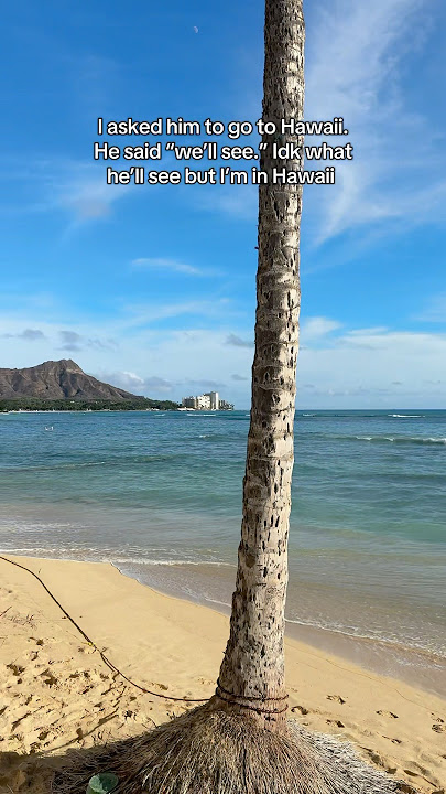 He’ll see me in Hawaii from his phone #hawaii #waikiki #honolulu | Ruby Red