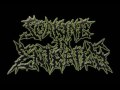 Soaking In Entrails -  Impalement Of The Depraved