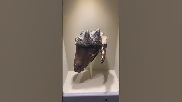 Earth Sciences - Saint Louis Science Center