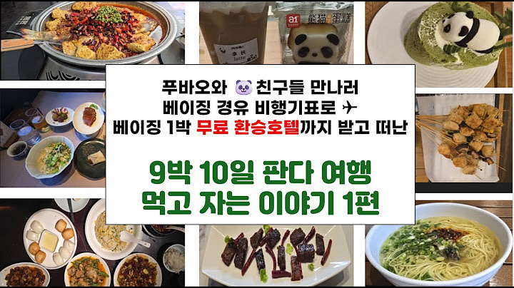 푸바오와 친구들 만나러 떠난 9박 10일 판다 여행 1편