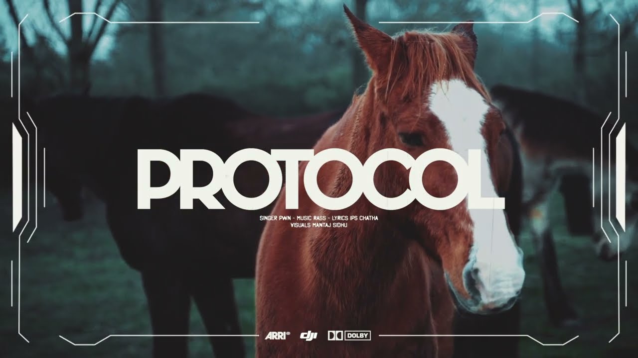 Pwn - Protocol (Official Audio)