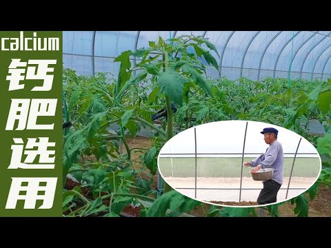 Calcium fertilizer for farming, these are cheap and practical