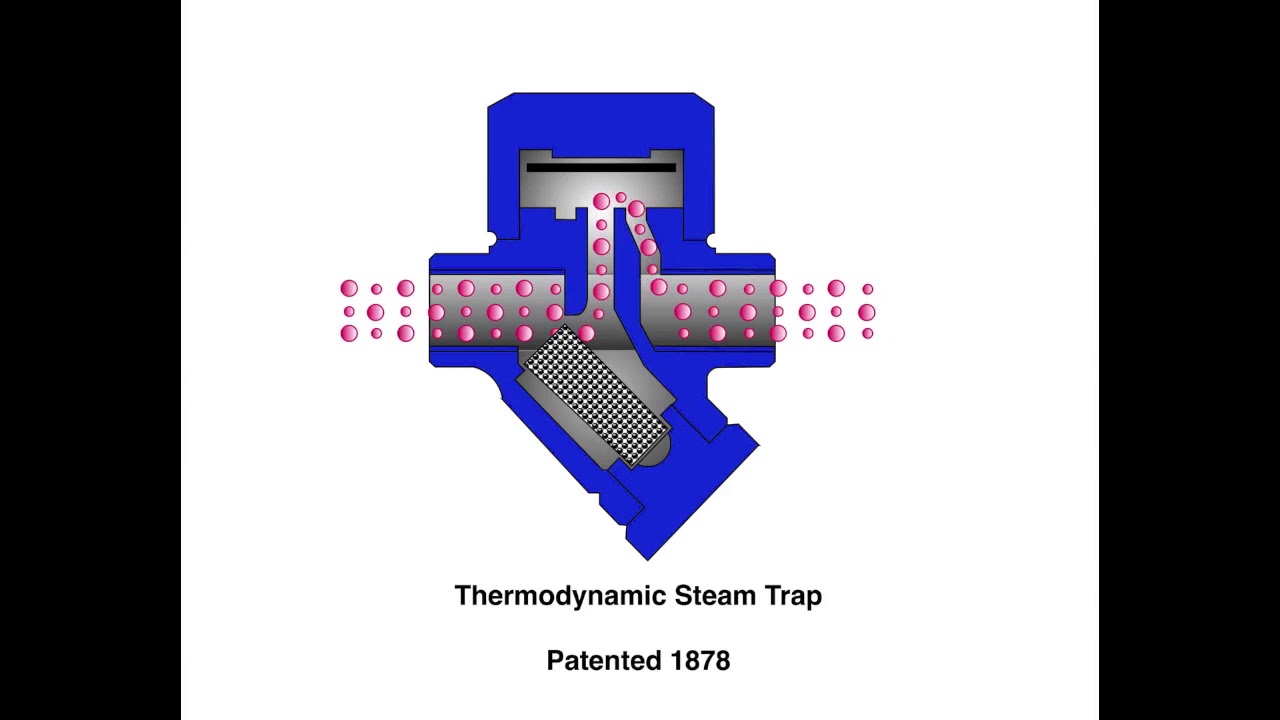 Thermodynamic Steam Trap Animation - YouTube