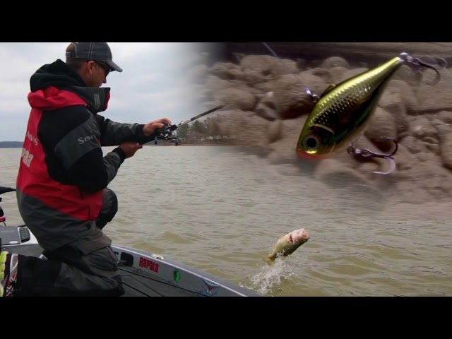 Fishing Lipless Crankbaits for Springtime Bass 