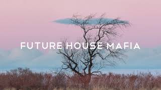Bob Moses - Griffith (Cercle Records)