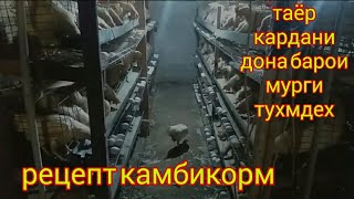 Таёр кардани камбикорм барои мурги тухмдех, мургпарвари дар Точикистон хуроки мурги хонаги.