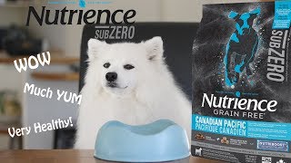 Nutrience Sub Zero Review by Koda The Spitz 7,210 views 6 years ago 3 minutes, 19 seconds