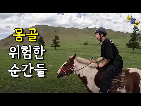 목숨 걸고 몽골 초원에서 살아남기