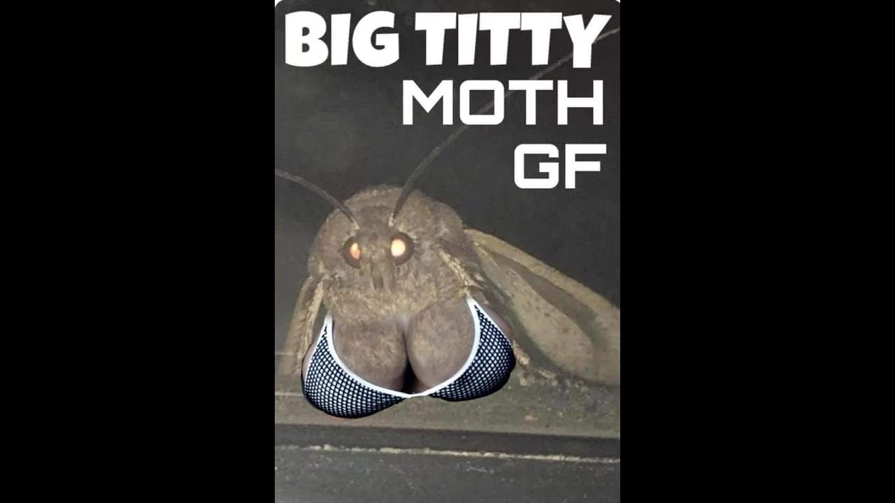 BIG TITTY MOTH GF WANTS LAMP BF - YouTube.