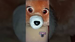 New Teddy Ruxpin tape! #cassette #teddyruxpin #difference #shorts #worldsofwonder