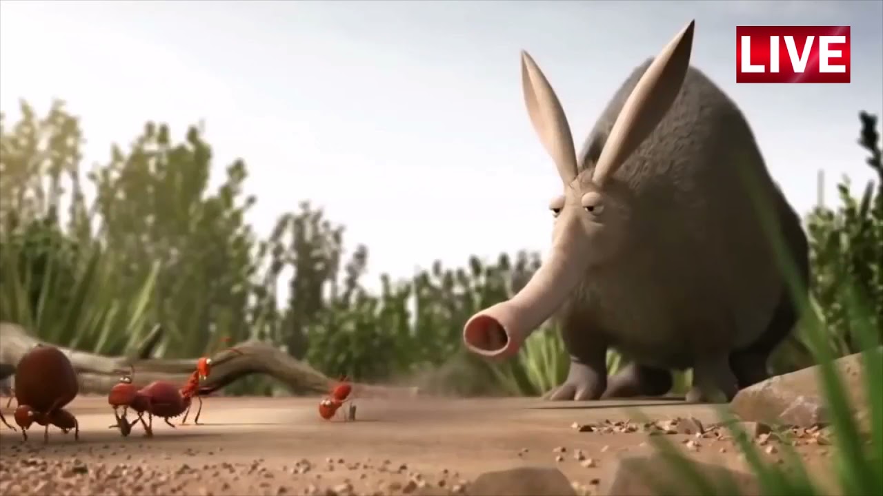 #short Leadership and effective collaboration.(ANT) 