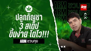 ปลูกกัญชา 3สเต็ป ขึ้นง่ายโตไว!!! : Armชวนคุย