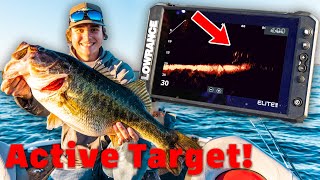 Famous Best Lowrance Active Target Settings w/ Screen Recordings Net Worth