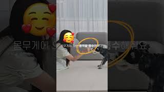 반려동물과 행복한 삶, 우리집 강아지 꿀템🍯#애견퍼즐매트 #퍼즐매트 #층간소음방지매트 #강아지매트 #미끄럼방지매트