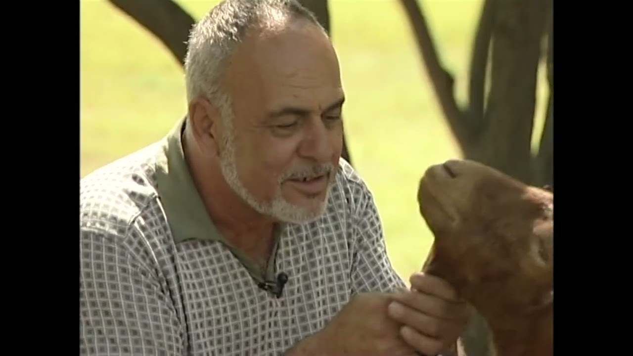 ՀԱՅԻ ՈՒԺԸ․ՆՈՐԱՄԱՐԳ