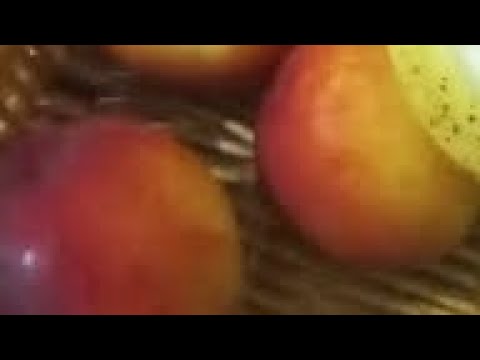 توت احمر توت شامي مزارع التوت في سوريا خيرات بلادي الرقة