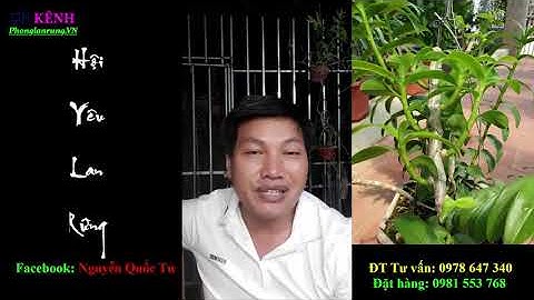 Lan Bị Thối Rễ_Lan Không Ra Hoa_Nấm Trichoderma & Bệnh Trên Hoa Lan KINH NGHIỆM CHĂM SÓC LAN