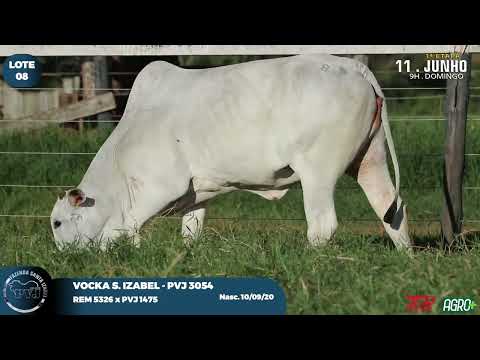 LOTE 08   PVJ 3054