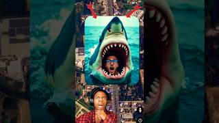 Omg Shark Attack In Underwater On Google Earth Google Map Attack Video 2.0