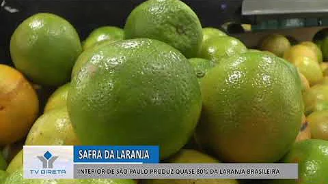Quais são as principais economias do Estado de São Paulo?