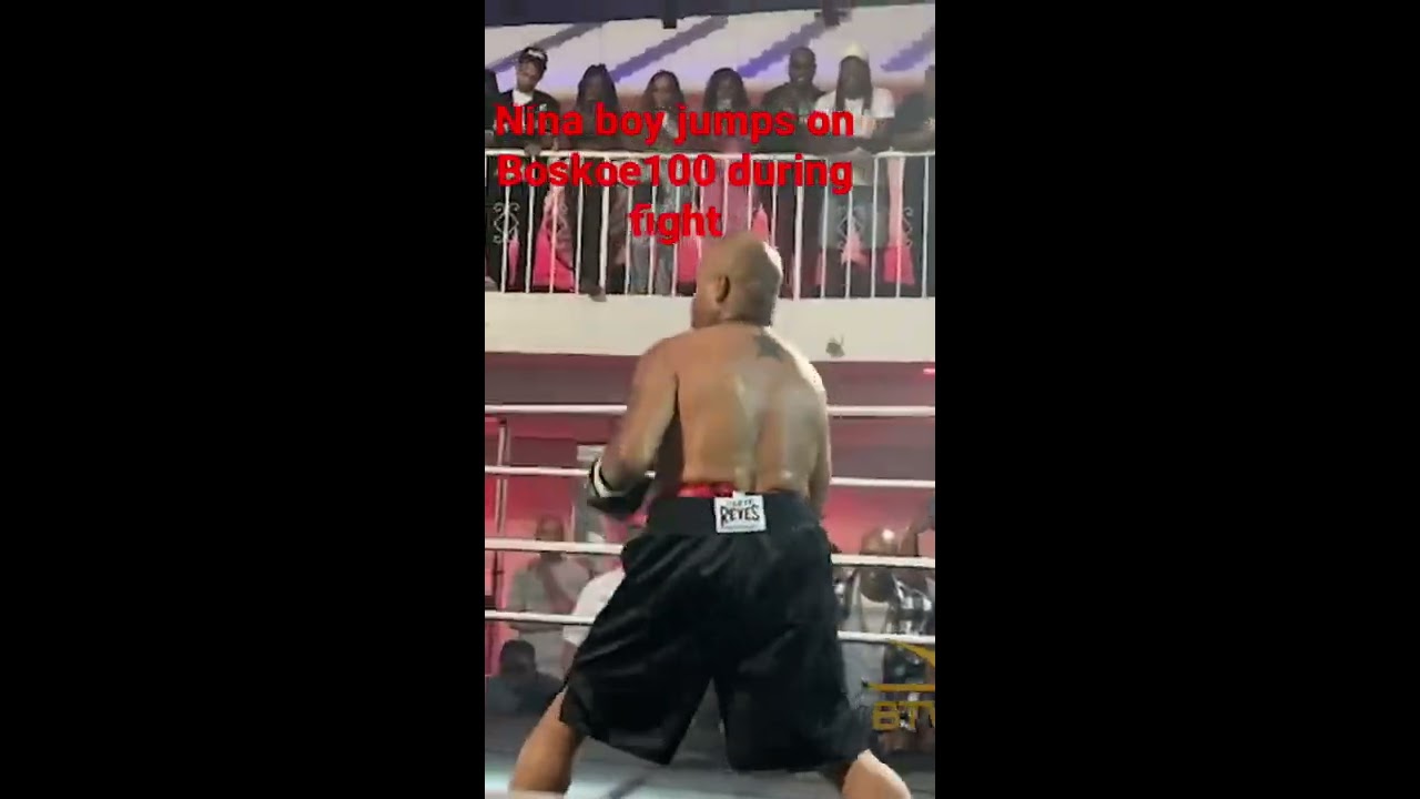 Boskoe100 Gets Knocked Down And Jumped On By Big Nina Boy