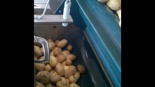 Ultrasonic sensor UK1C: automatic potatoes level detection