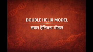 Double Helix Model of DNA | Watson &amp; Crick Complete Concept | BSc Biology One Shot