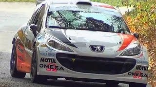 Tribute Peugeot 207 S2000 Pure Sound  Rally Show (HD)
