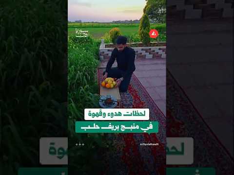 لحظات هدوء وقهوة في منبج بريف حلب