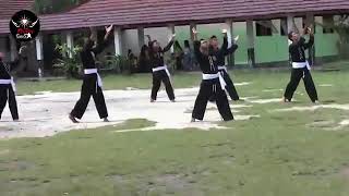 Download Mp3 Terate jalanan psht Gudang lagu Download Mp3 Terate jalanan psht