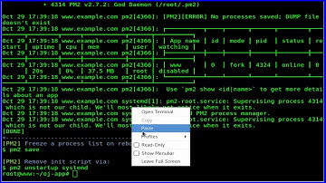 How To Configure Nginx As a Web server and Reverse Proxy for Nodejs Application on Debian 9.1