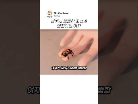 길에서 줍줍한 꿀벌의 최후 thumbnail