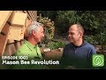 Growing a Greener World Episode 1002: Mason Bee Revolution