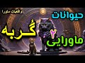 رازهایی از گربه در خوشبختی شما وعالم ماورا وجنیان که مغزتان سوت میکشد موجودات جادویی قسمت۲